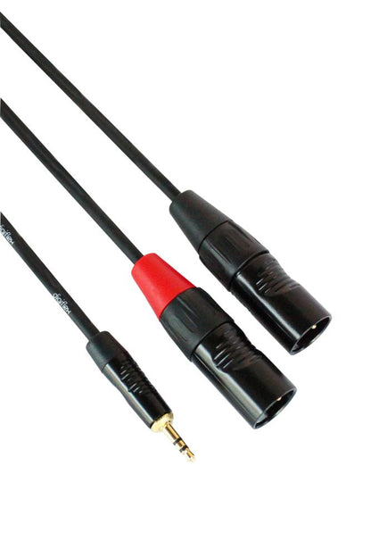 1/8" mini TRS to 2× XLR M Cable