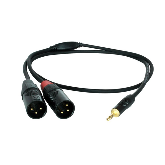 1/8" mini TRS to 2× XLR M Cable